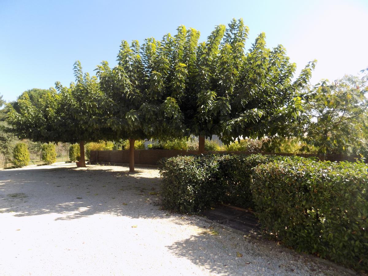 B&B La Vieille Source Saint-Martin-d'Ardeche Exterior photo